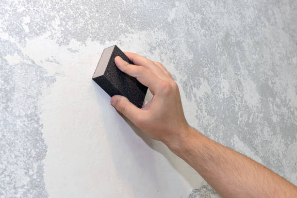Biohazard Mold Removal in St Joseph, MI