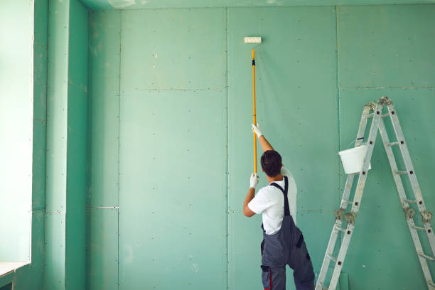 Best Emergency Mold Remediation  in St Joseph, MI