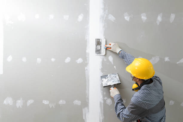 Best Water Damage & Mold Remediation  in St Joseph, MI