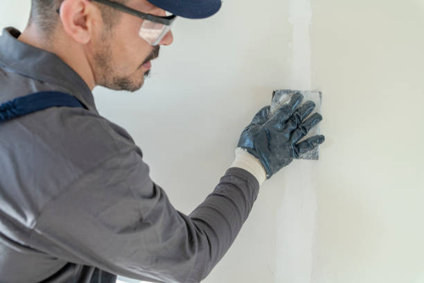 Best Commercial Mold Inspection  in St Joseph, MI
