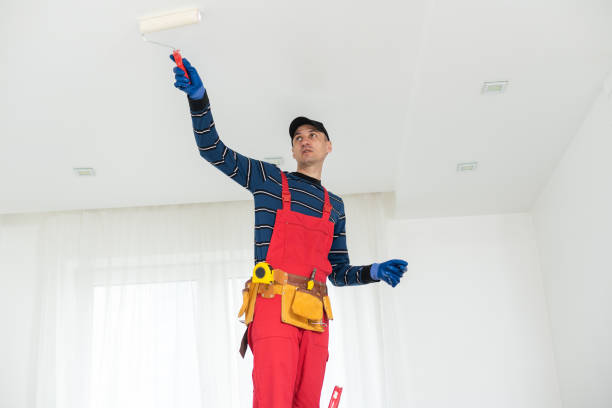 Best Mold Documentation for Insurance Claims  in St Joseph, MI