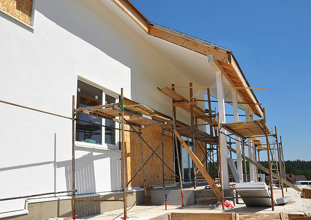 Reliable St Joseph, MI Mold Removal Solutions